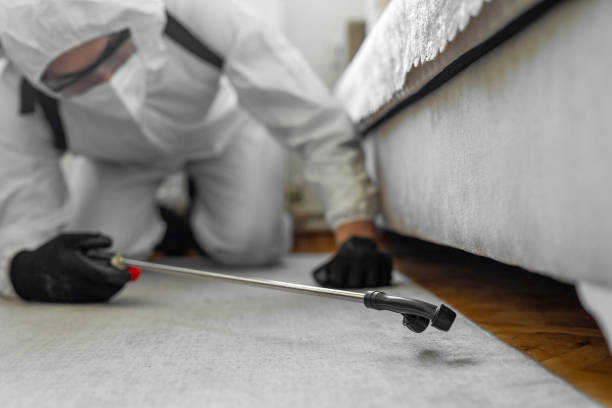 Professional Termite Control technician working in Lavalette, WV