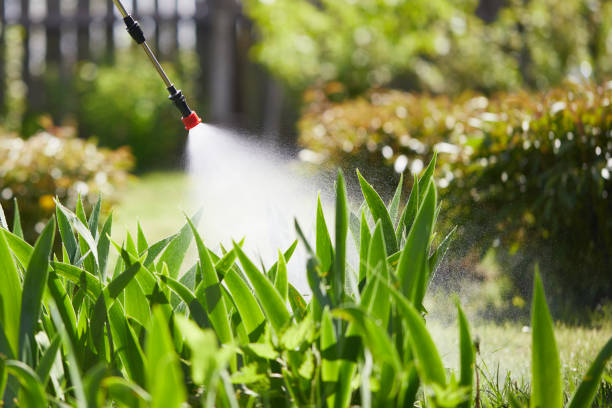 24/7 Emergency Termite Control experts in Lavalette, WV